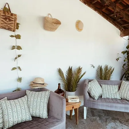 Casa Da Cesta * Celorico De Basto