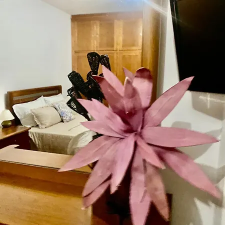 Casa Da Cesta Prázdninový dům