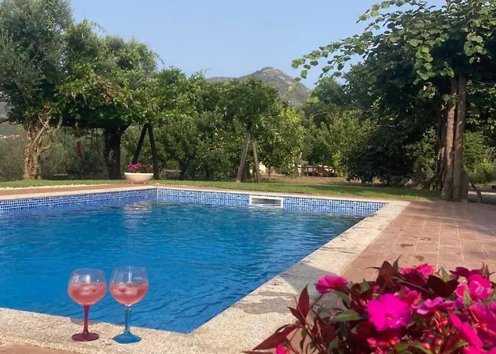 Casa Da Cesta Celorico De Basto