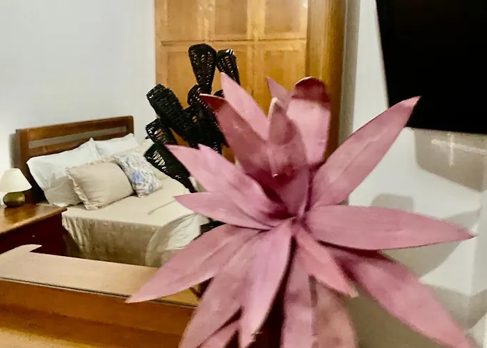 Casa Da Cesta Сasa de vacaciones